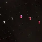 Astrologia: come il proprio ascendente influenza il segno zodiacale? E come si calcola?