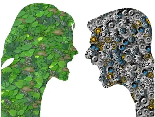 Il Mondo degli Elettronici: Dai Negozi ai RAEE